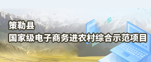 國(guó)家級(jí)電子商務(wù)進(jìn)農(nóng)村綜合示范項(xiàng)目