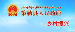 鄉(xiāng)村振興